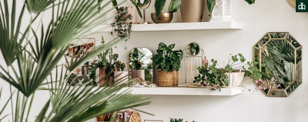 Your Home with These 10 Indoor Plants That Banish Negative Energy